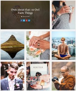 Demo – Blog Designer Pro | WordPress Blog Layout Plugin