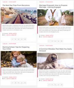 Demo – Blog Designer Pro | WordPress Blog Layout Plugin