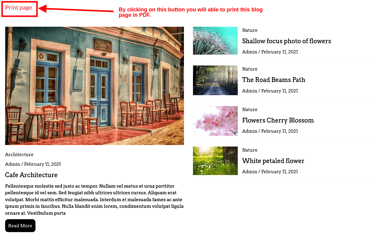 Print the blog page in PDF is available or not - Blog Designer